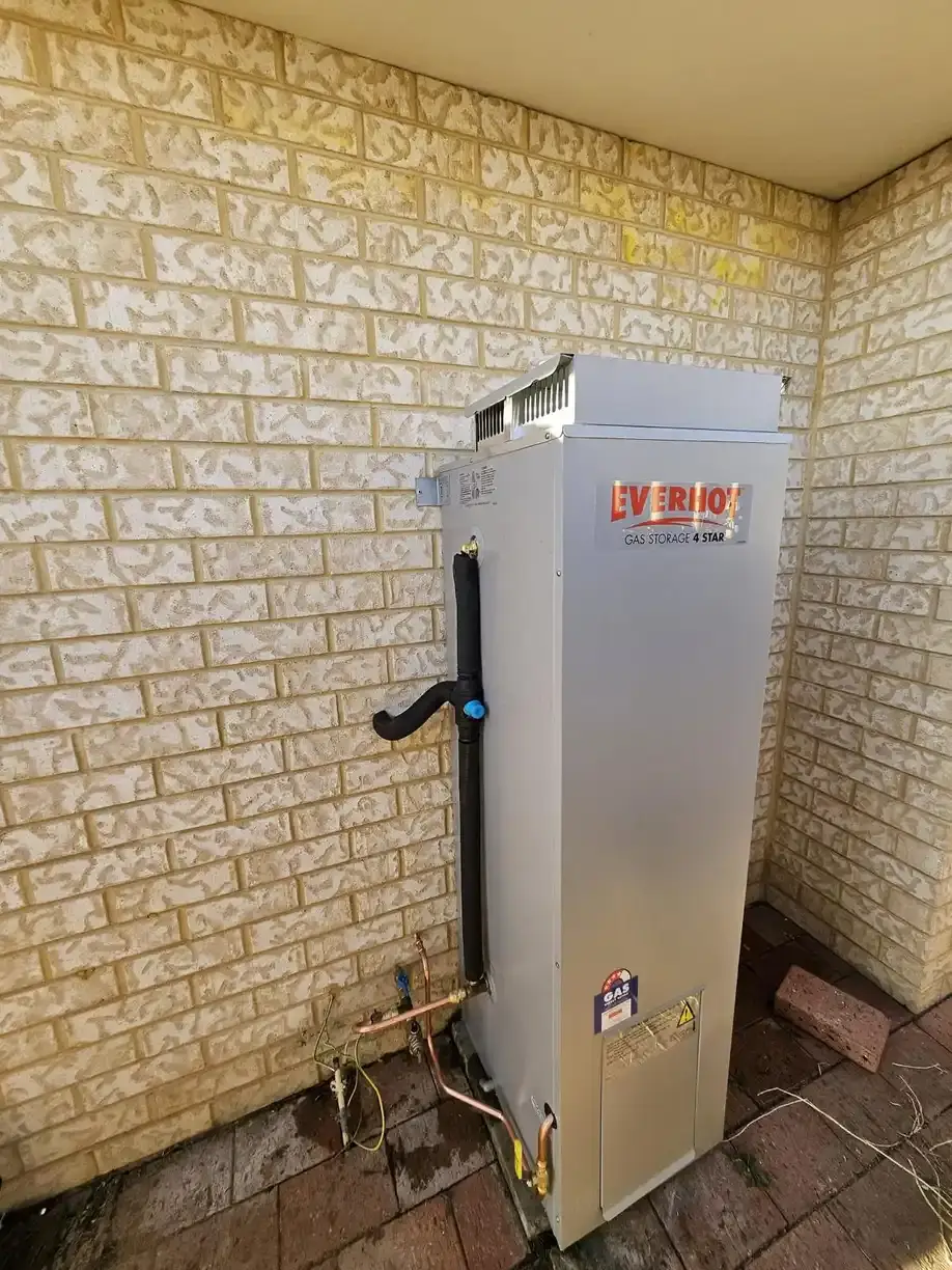 A gas storage hot water unit with its flue.