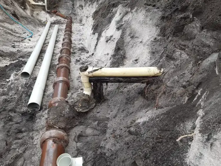 An old clay sewer line broken open by tree roots, with new PVC pipe laid out beside it.